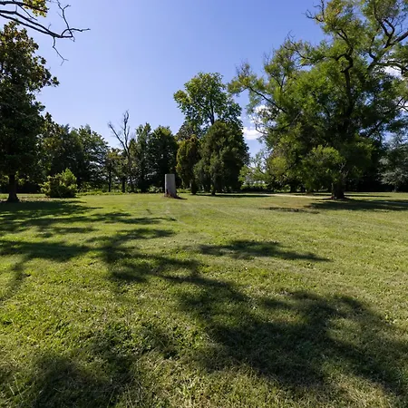 Winery Vitas Dependance - App-2 By Interhome 公寓 Strassoldo